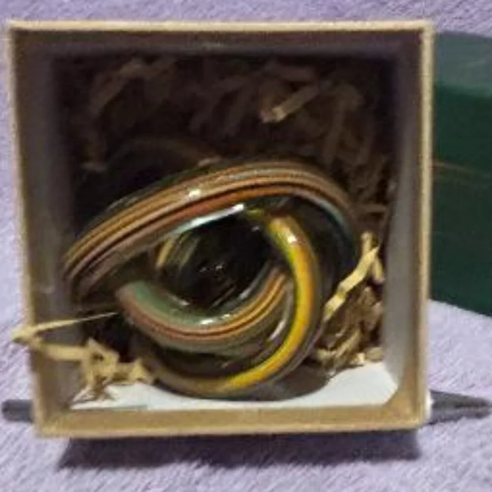 West Elm Ready Or Knot Art Glass Twisted Infinity Paperweight Earth tones Colors